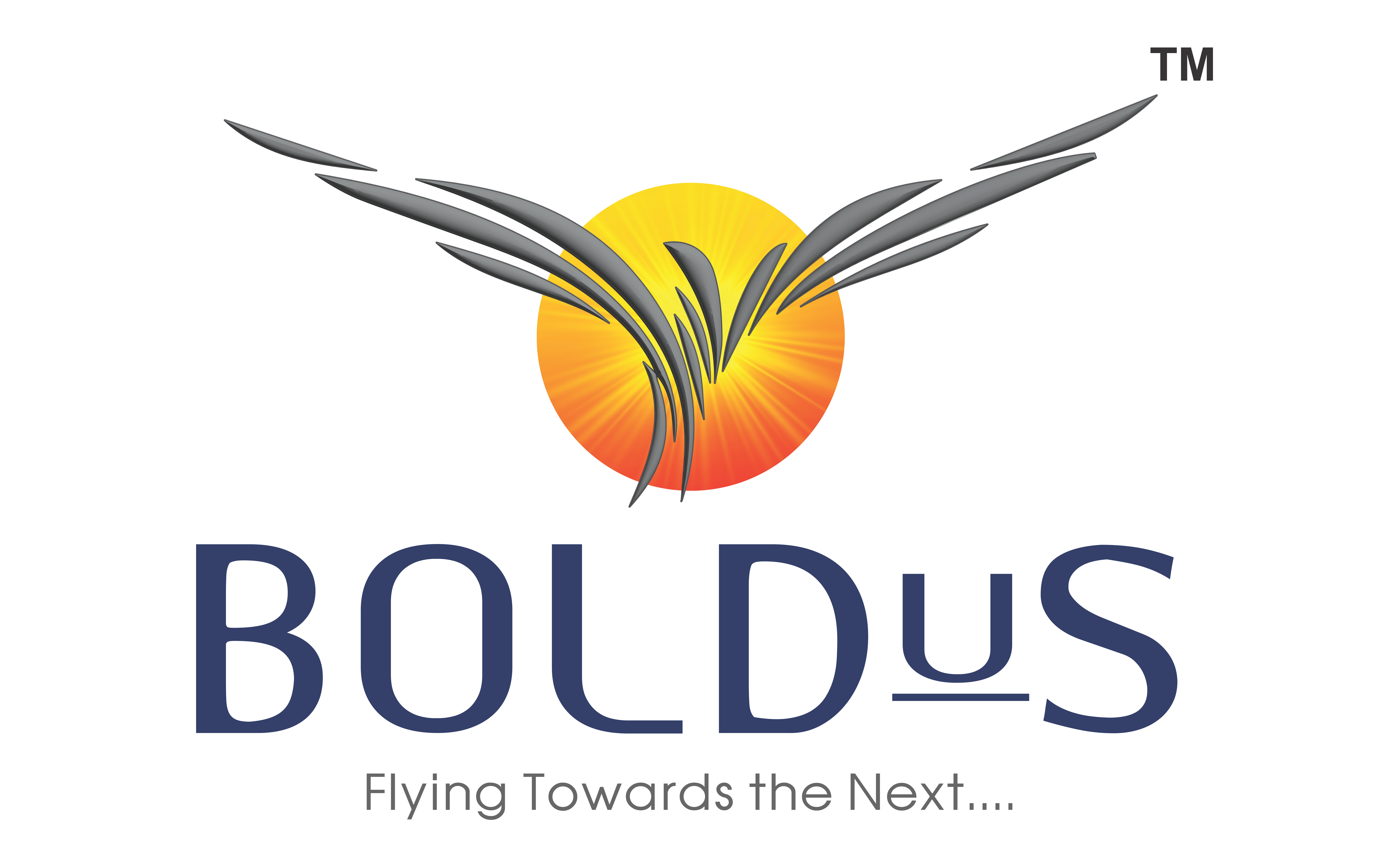 Boldus Techno Energy